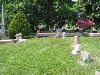 Boyer Plot - Greenmount Cemetery